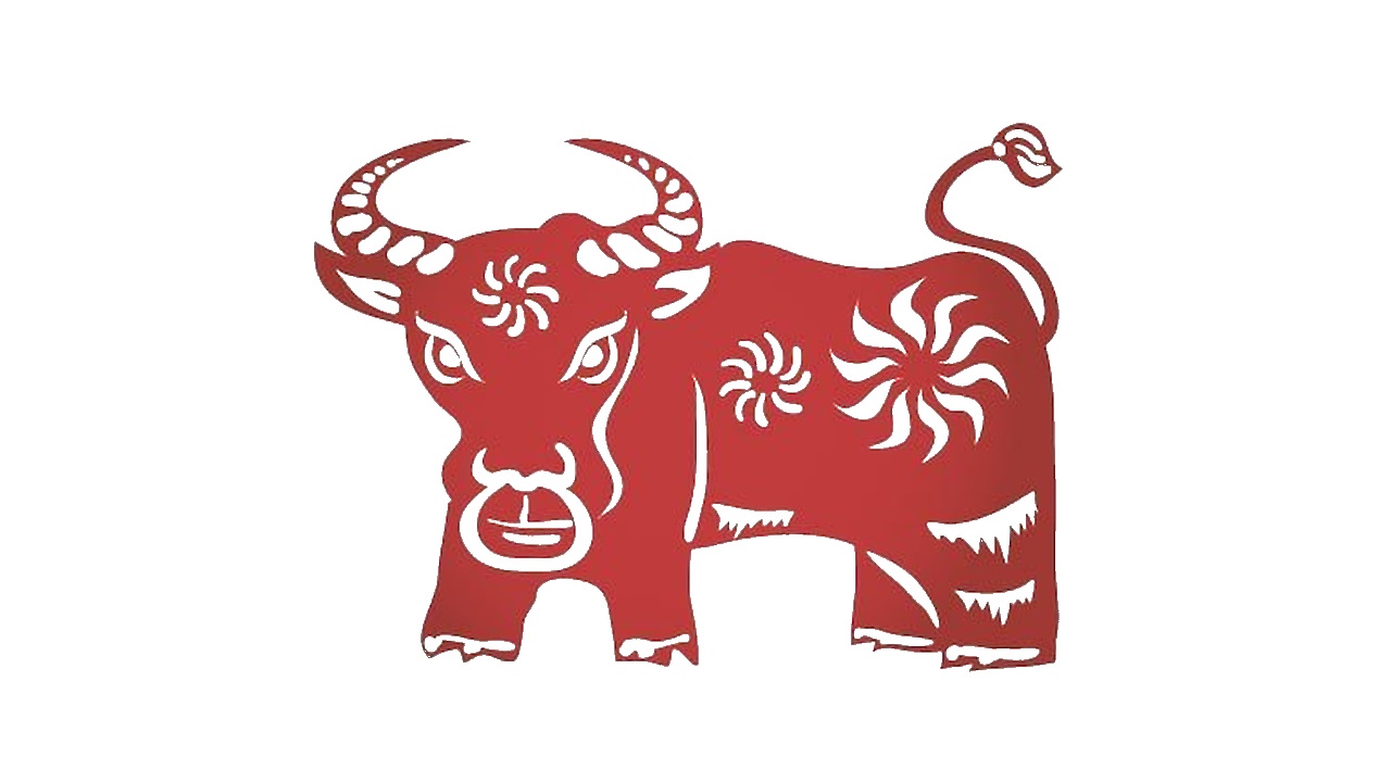 Chinese Year Of The Ox