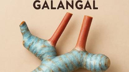 Galangal Roots