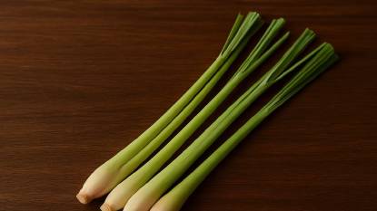 Lemongrass plants laid out on a kitchen surface