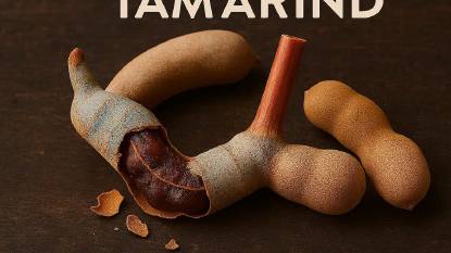 Pieces on Tamarind