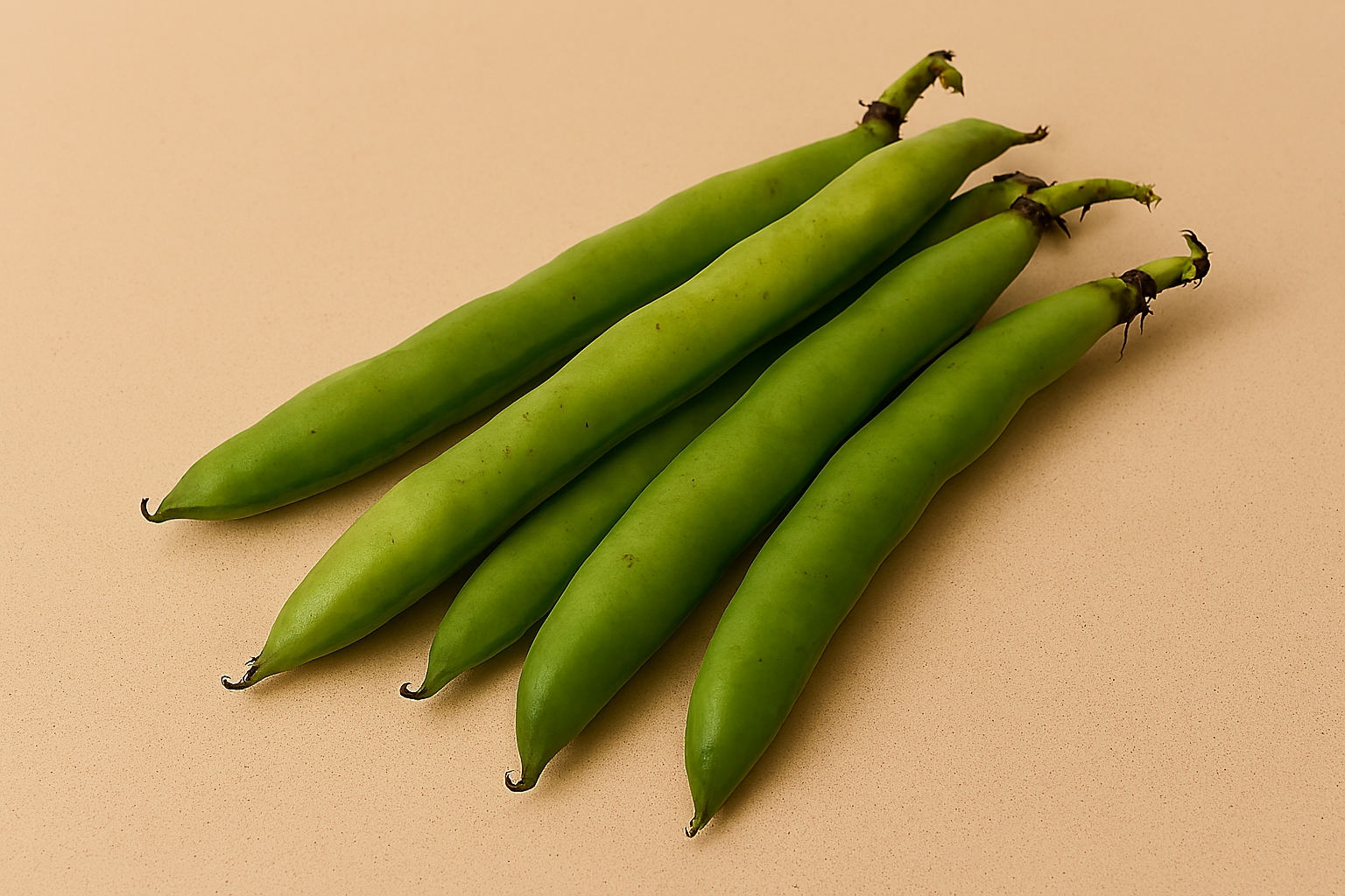 Five fresh fava bean pods arranged diagonally on a beige speckled countertop, showing bright green color and gentle bulges from the beans inside.